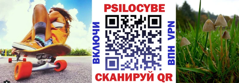 Галлюциногенные грибы Cubensis  даркнет сайт  Тайшет 