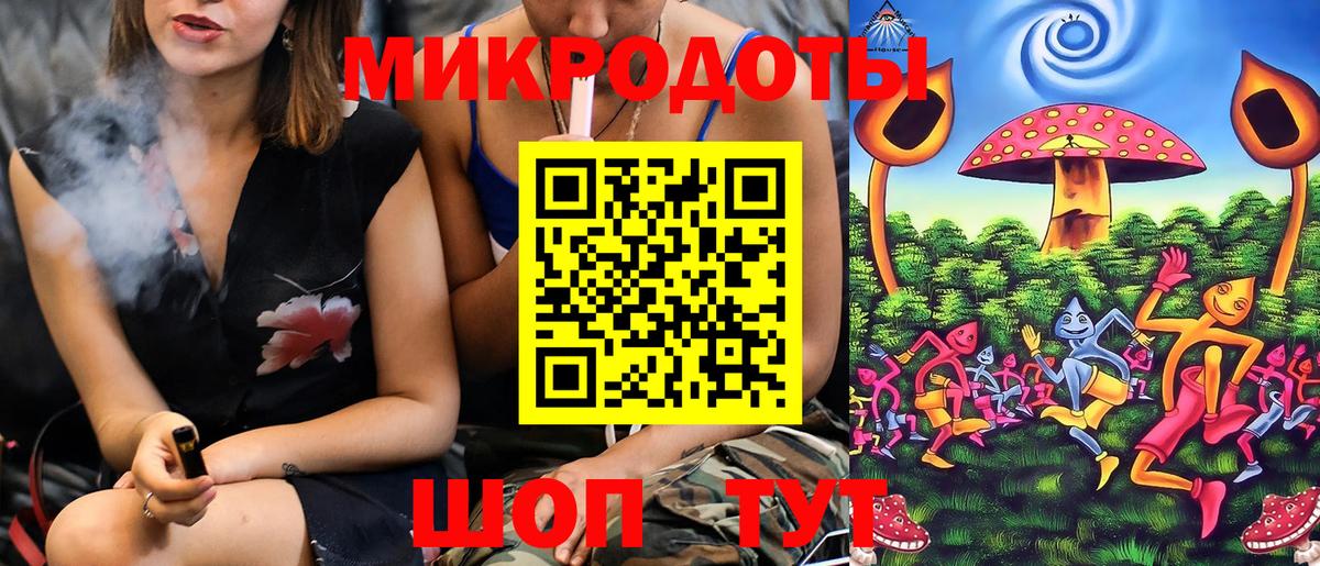 Галлюциногенные грибы Psilocybe Тайшет