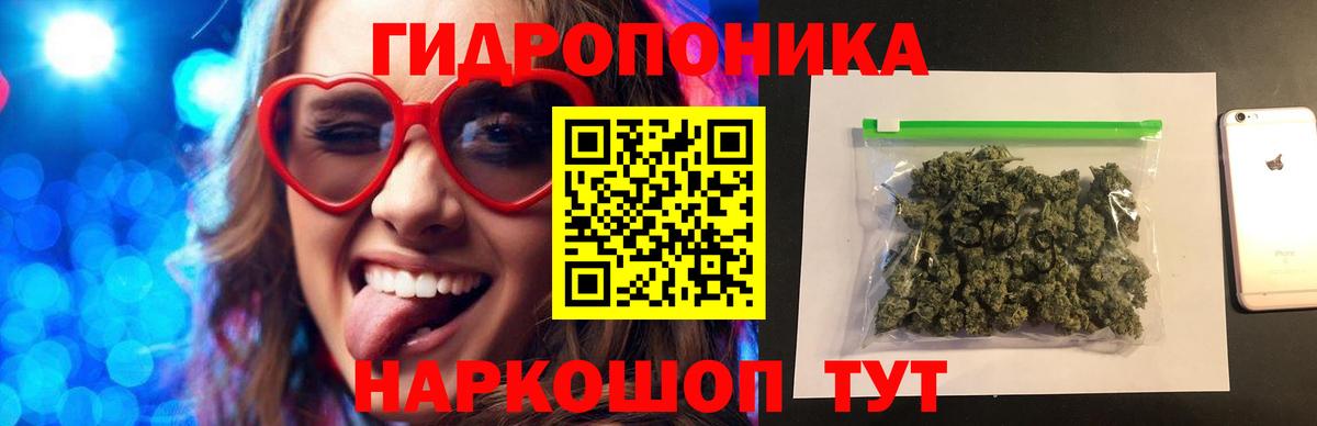 Шишки марихуана планчик Тайшет